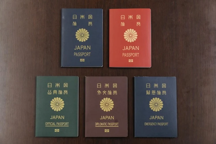宾果彩票最新走势图分析：如何通过历史数据提升中奖概率