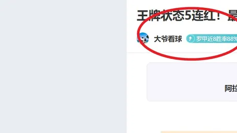 詹姆斯空中飘逸，后继者紧追不舍，巅峰征程待续