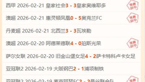 黑色沙漠手游重制版首次更新内容解析